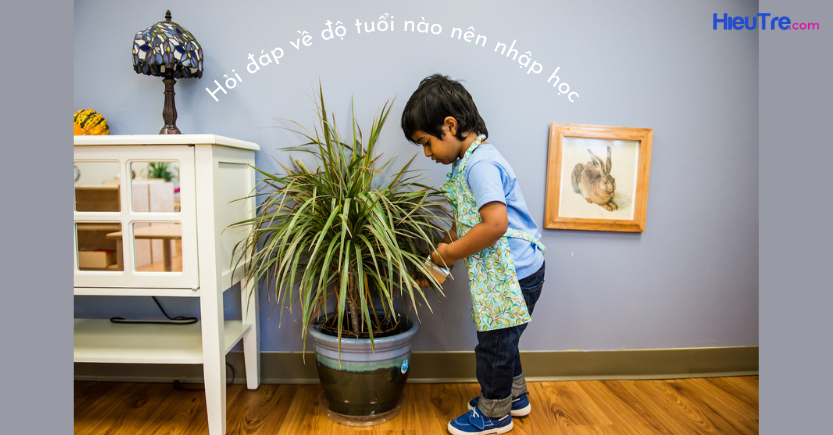 Độ tuổi nào nên cho con nhập học Montessori
