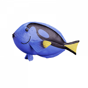Cá Blue Tang