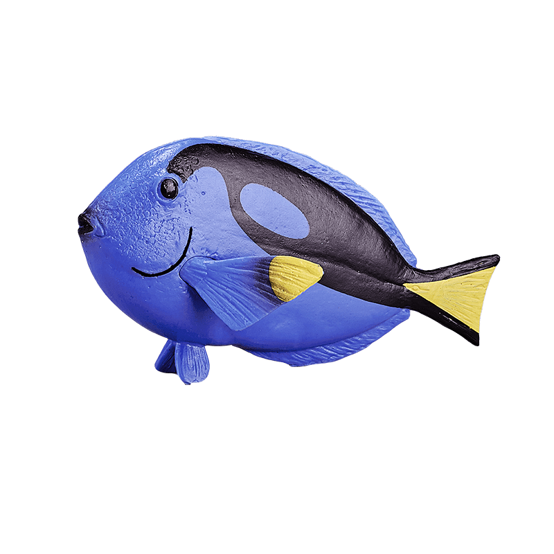 Cá Blue Tang - Ảnh 2