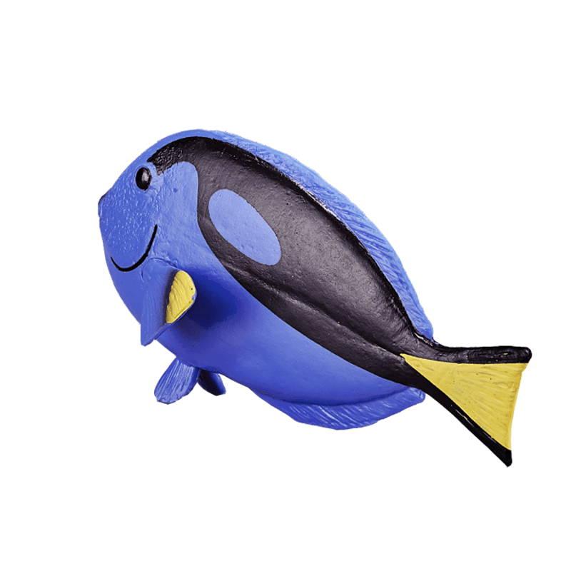 Cá Blue Tang - Ảnh 3