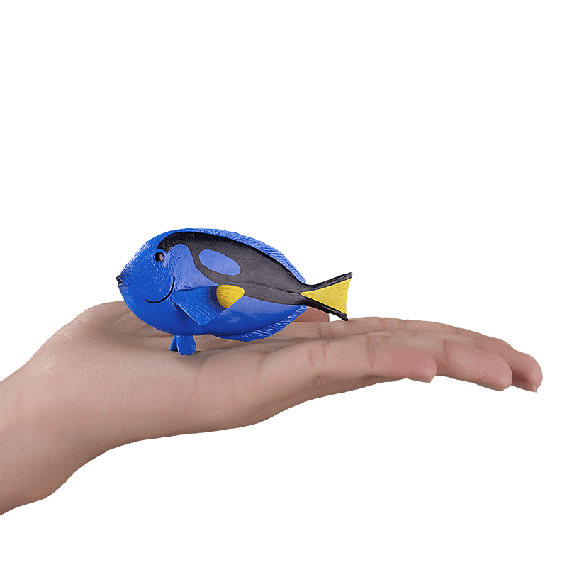 Cá Blue Tang - Ảnh 4