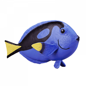 Cá Blue Tang