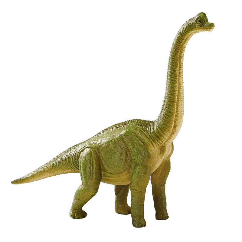 Khủng long Brachiosaurus - Ảnh 2