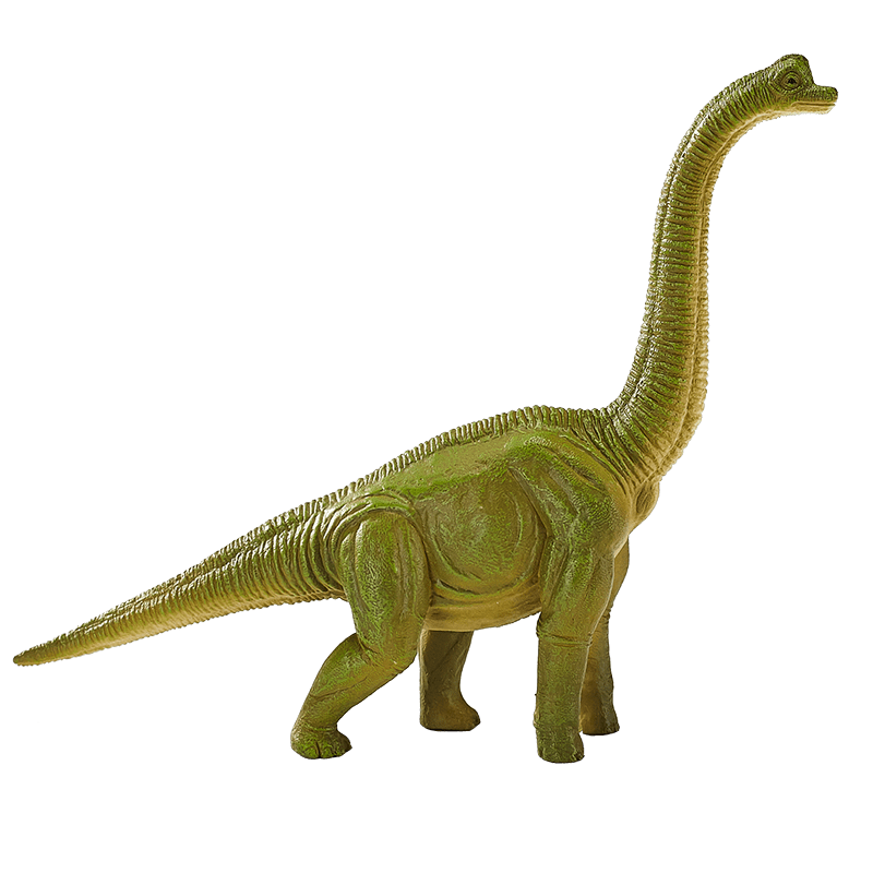Khủng long Brachiosaurus - Ảnh 3