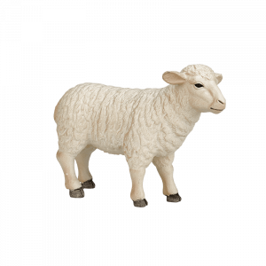 Con cừu