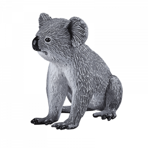 Gấu Koala