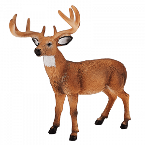Hươu đực