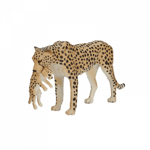Báo Cheetah cái