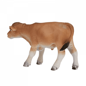Bò con Jersey