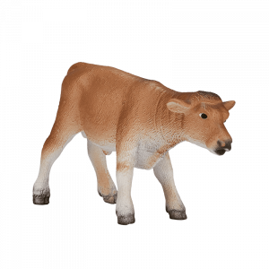 Bò con Jersey