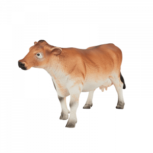 Bò Jersey