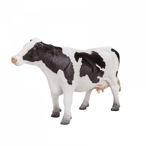 Bò sữa Holstein