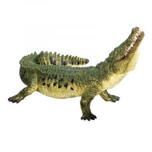 Cá sấu Crocodile