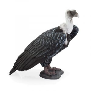 Kền kền Griffon