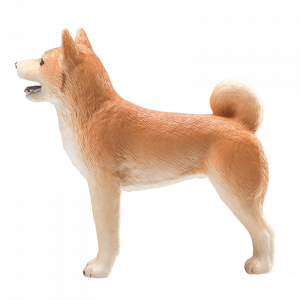 Chó Shiba