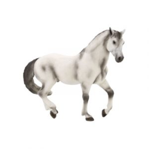 Ngựa Andalusian