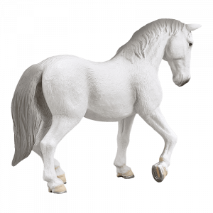 Ngựa Lipizzaner