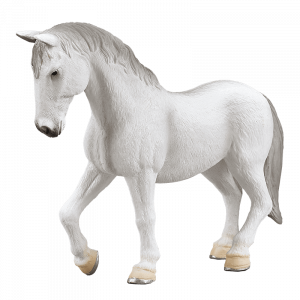 Ngựa Lipizzaner