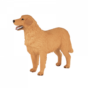 Chó Golden Retriever