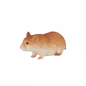 Chuột Hamster