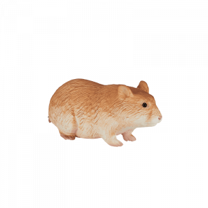 Chuột Hamster