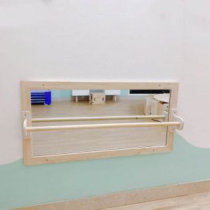 Gương có tay vịn