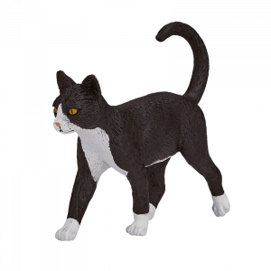 Mô hình mèo đen