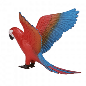 Vẹt đỏ