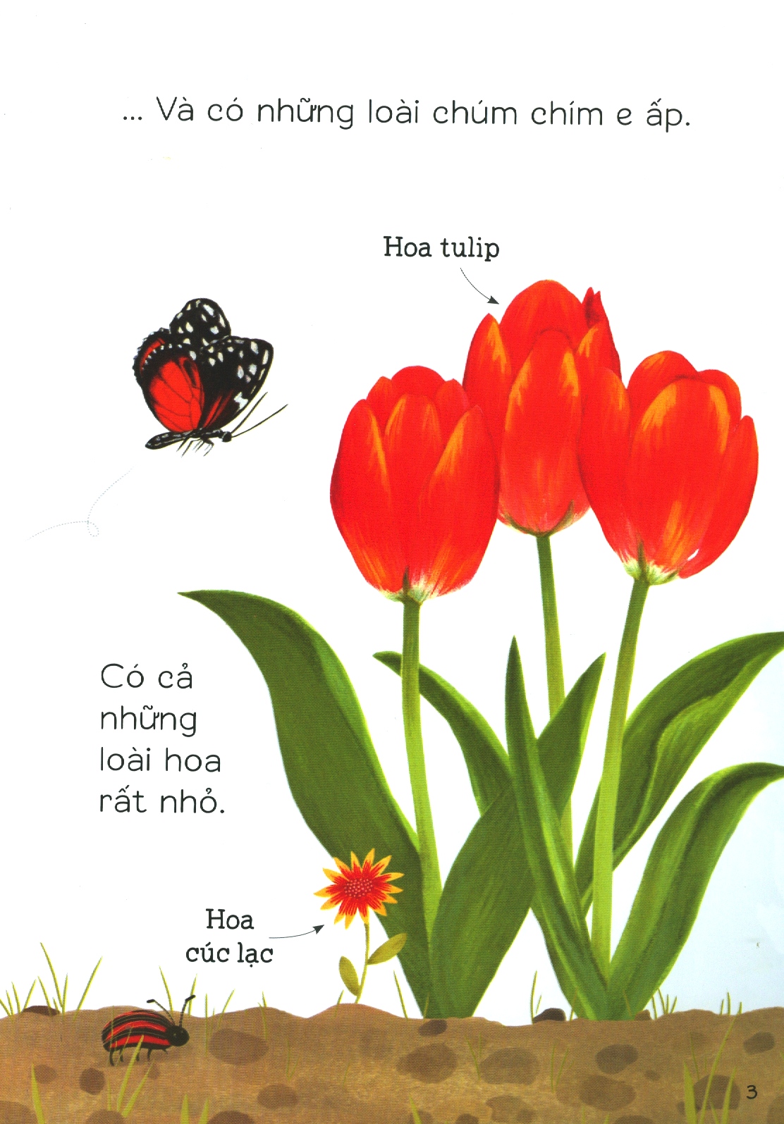 Cuốn Sách Đầu Đời Tuyệt Đẹp Về Hoa Cỏ - Ảnh 5
